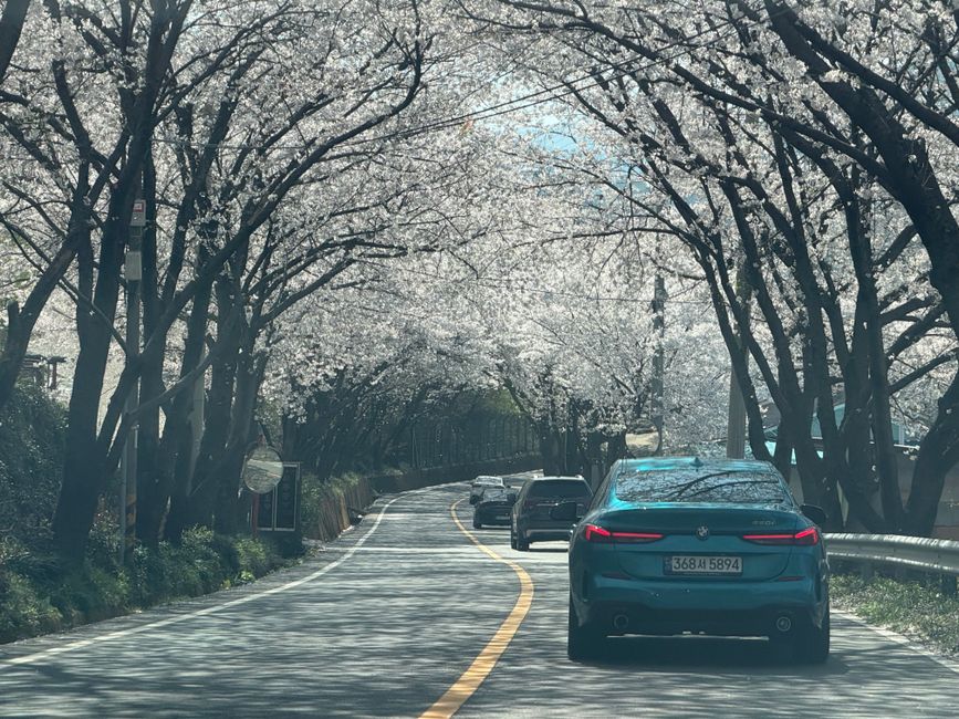 car driving on korean city road