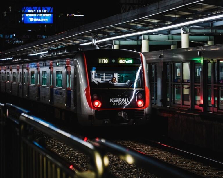 경로우대 혜택 총정리 🚇 지하철·기차·고궁 무료로 누리는 법 (만 65세 이상 필독!)