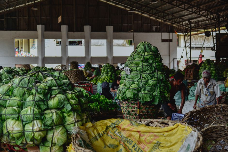 fresh cabbage vegetables