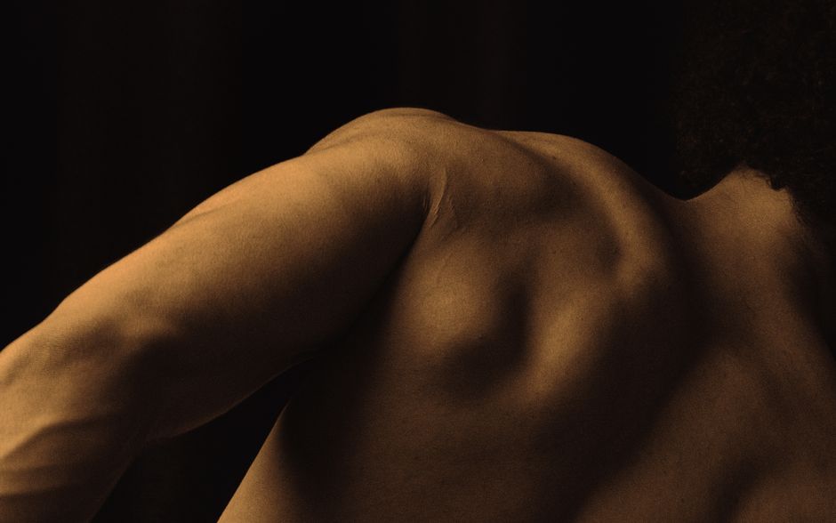 shoulder anatomy illustration