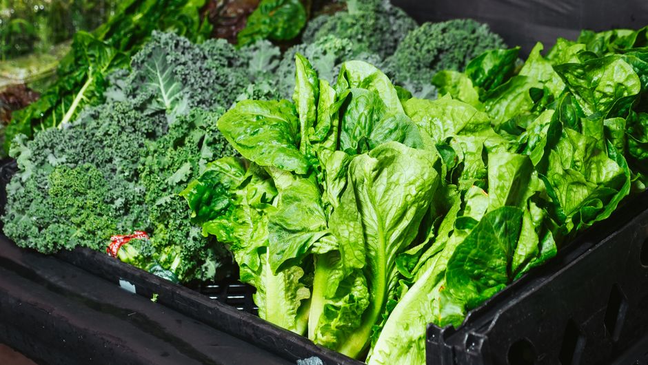 kale spinach broccoli green vegetables