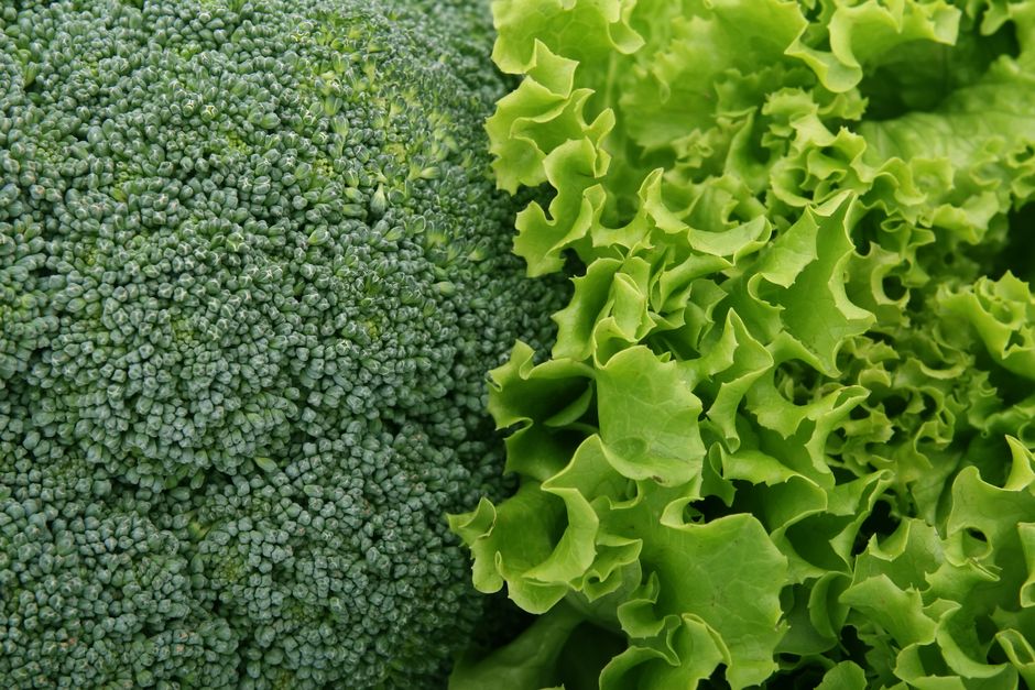 cruciferous vegetables broccoli