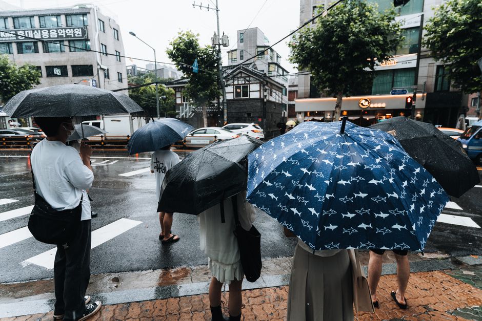 rainy season umbrella korea