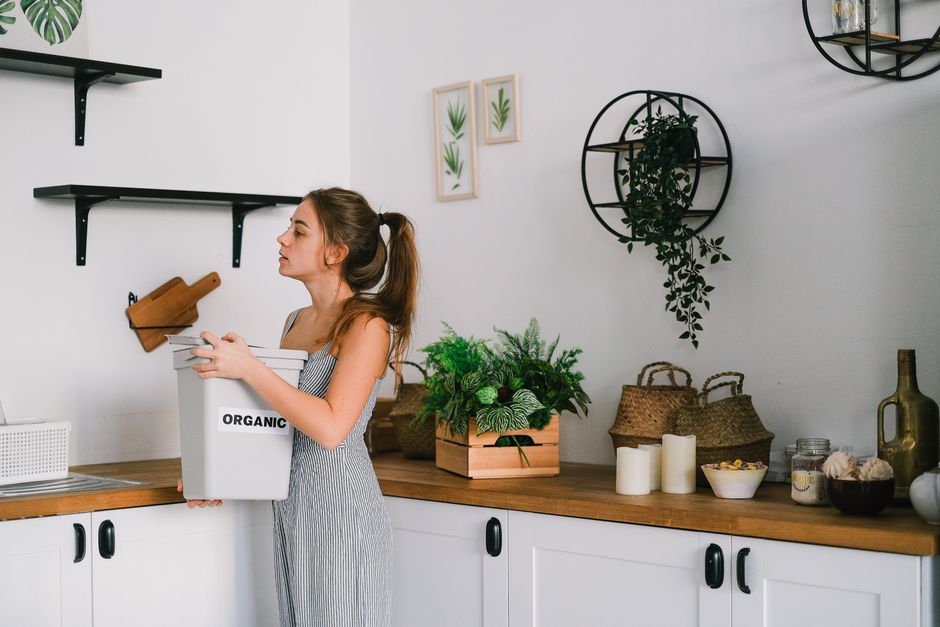 kitchen food waste bin korea