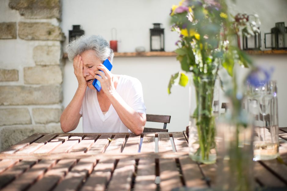 senior loss of appetite summer heat