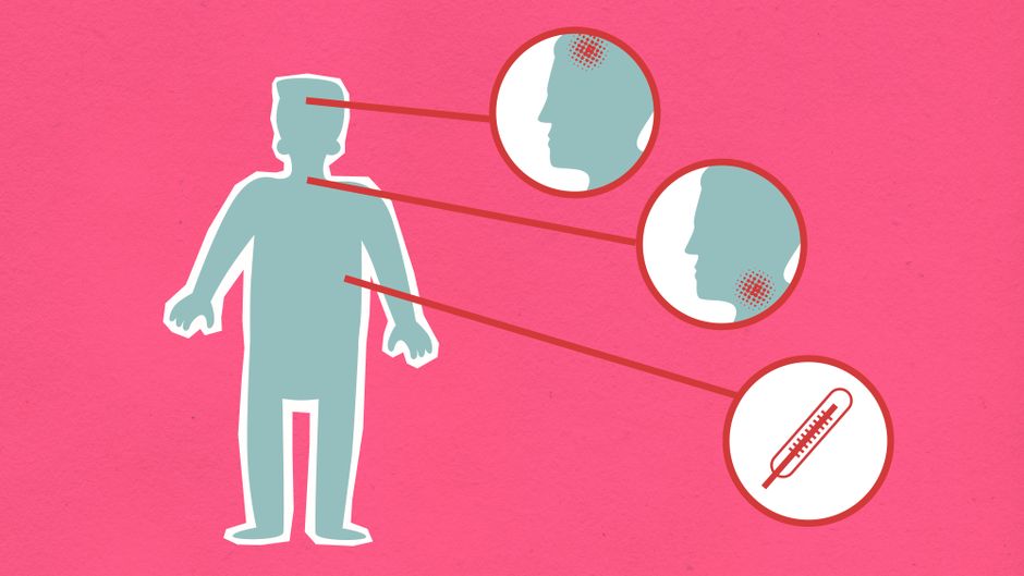 human body temperature regulation diagram
