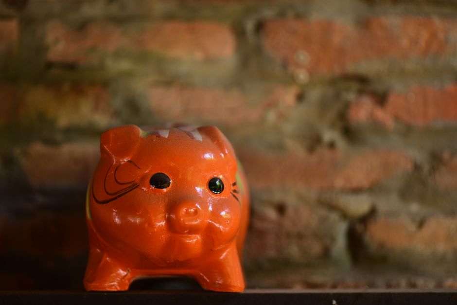 monthly savings piggy bank Korean