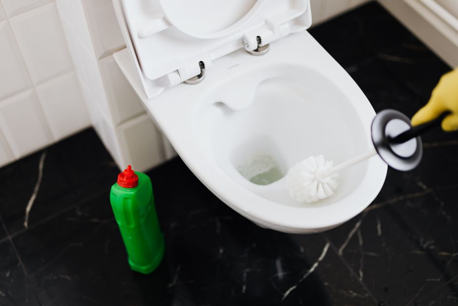 bathroom cleaning tools toilet brush