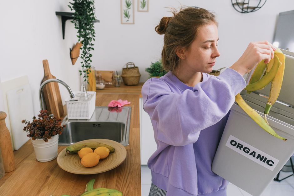 food waste recycling machine home