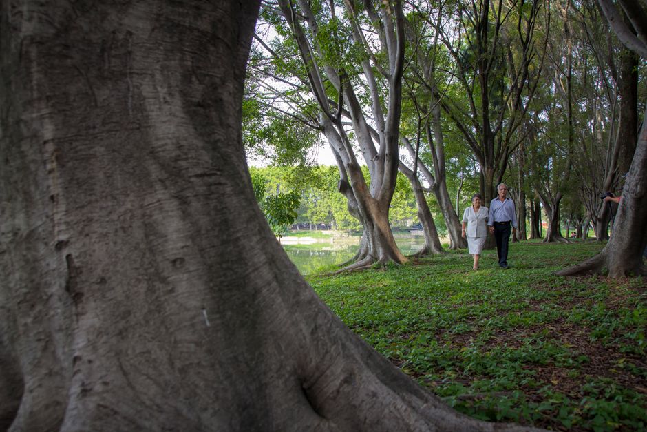 elderly walking outdoor shade trees