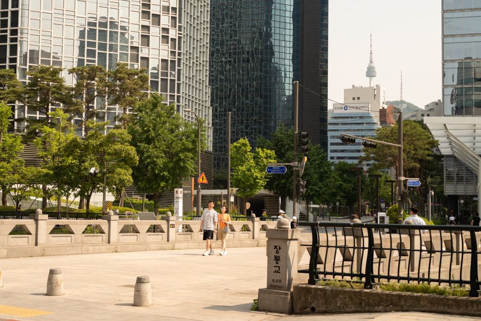 korean park morning walk summer