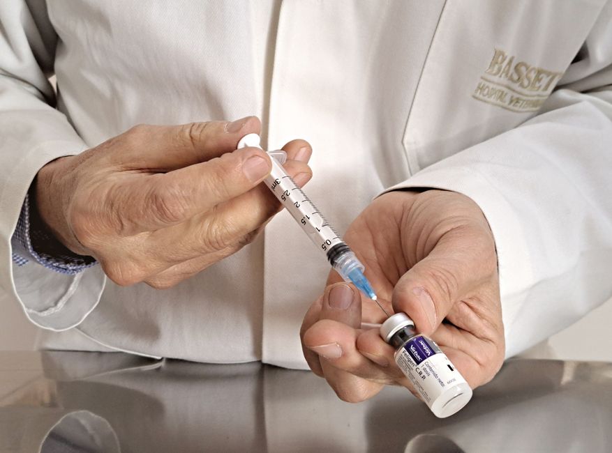japanese encephalitis vaccine syringe