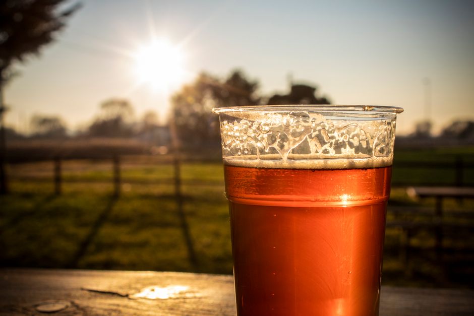 warm barley tea cup summer