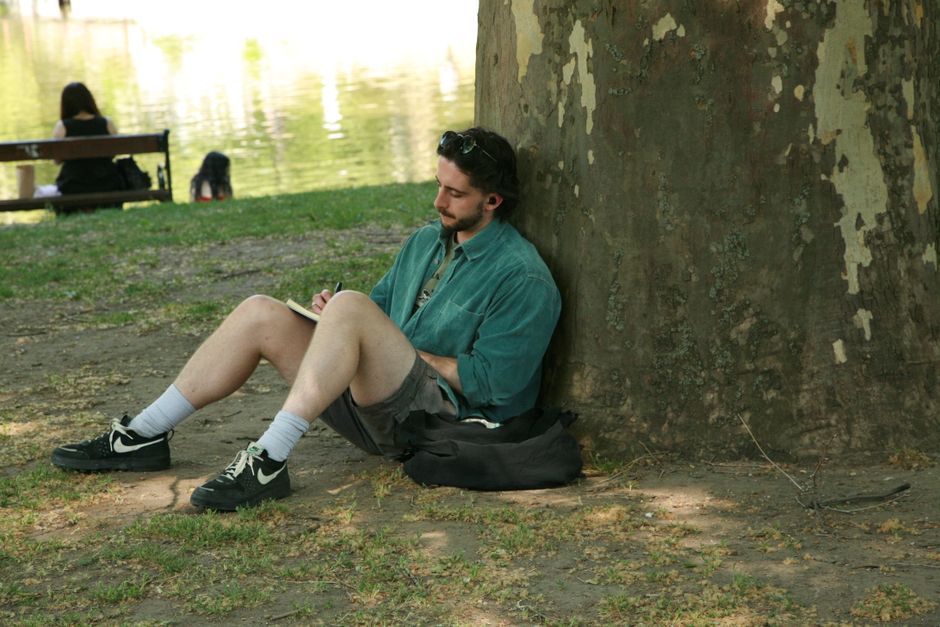 resting in cool shade summer