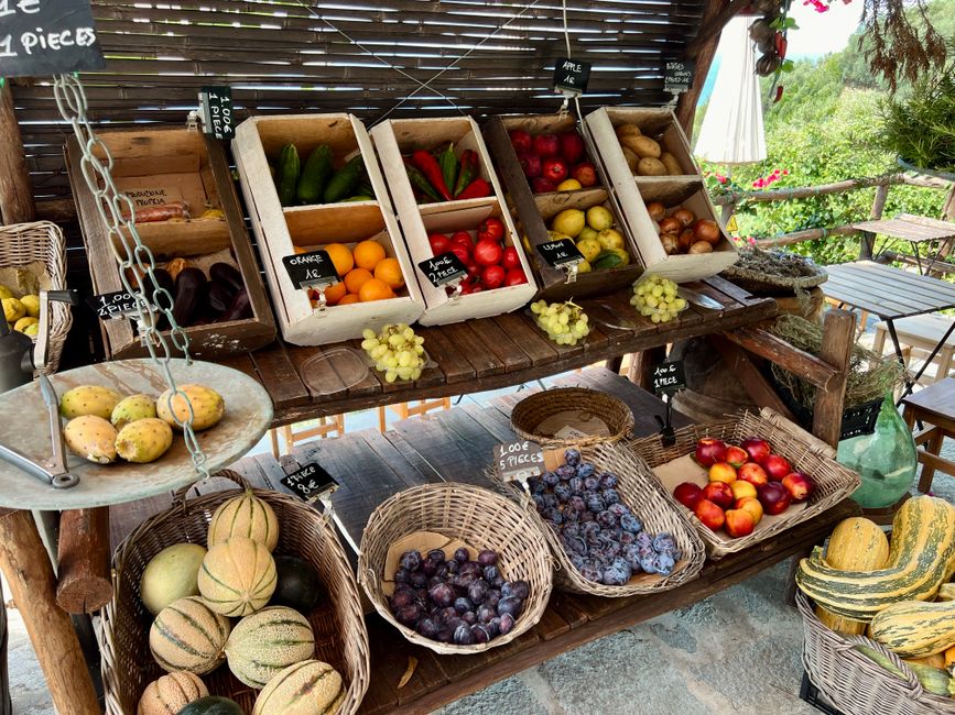 fresh summer fruits vegetables