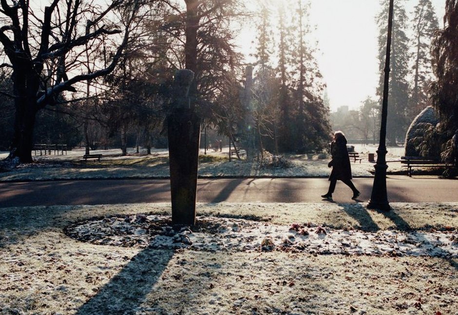 person walking park morning sunlight