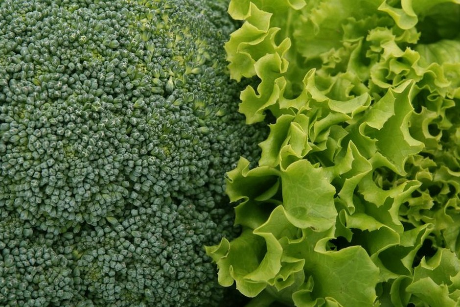 leafy green vegetables healthy food