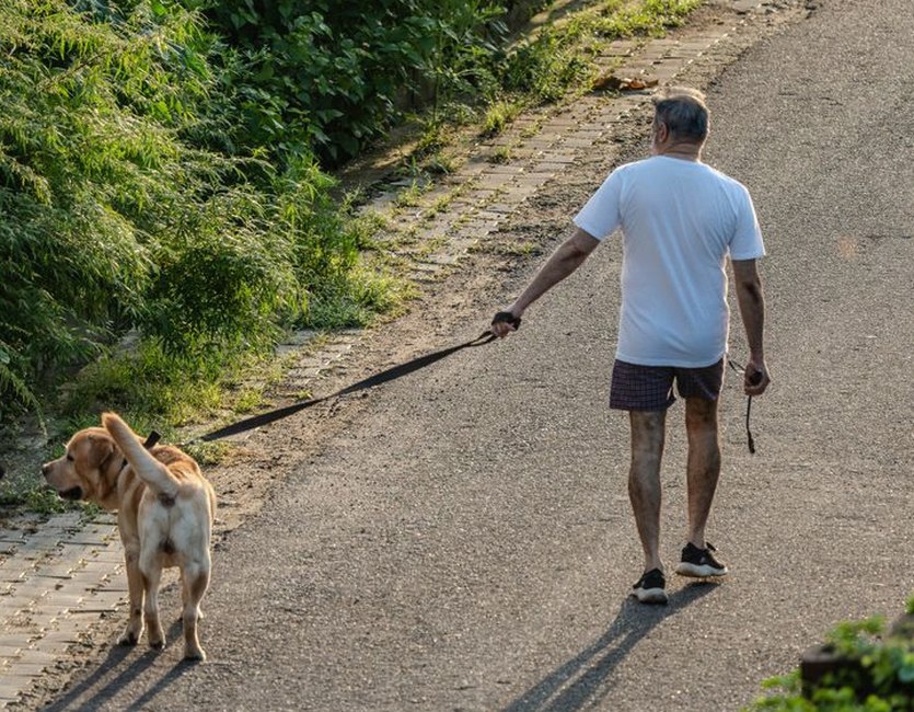 senior man walking exercise outdoor