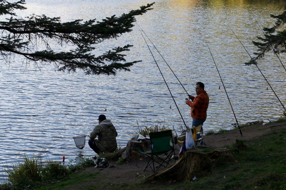 clean lakeside fishing spot nature