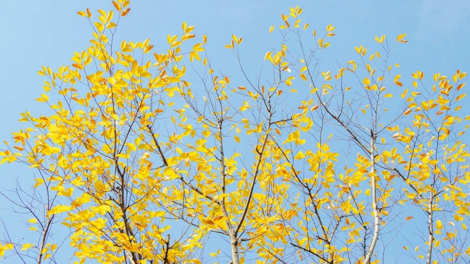 seasonal weather change health