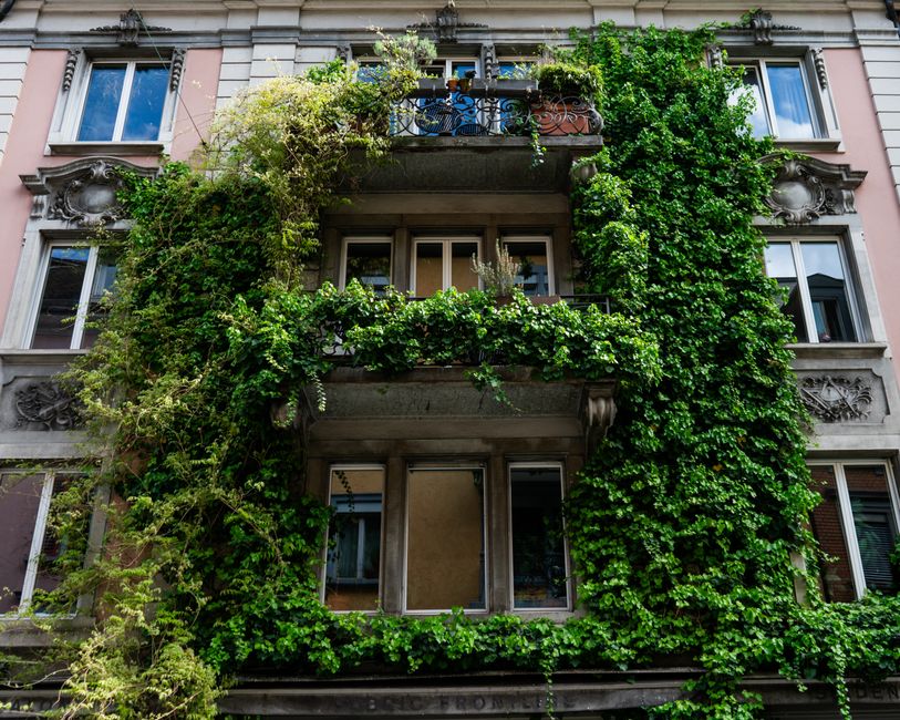 eco friendly home insulation window