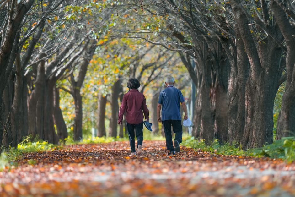 elderly couple walking park morning