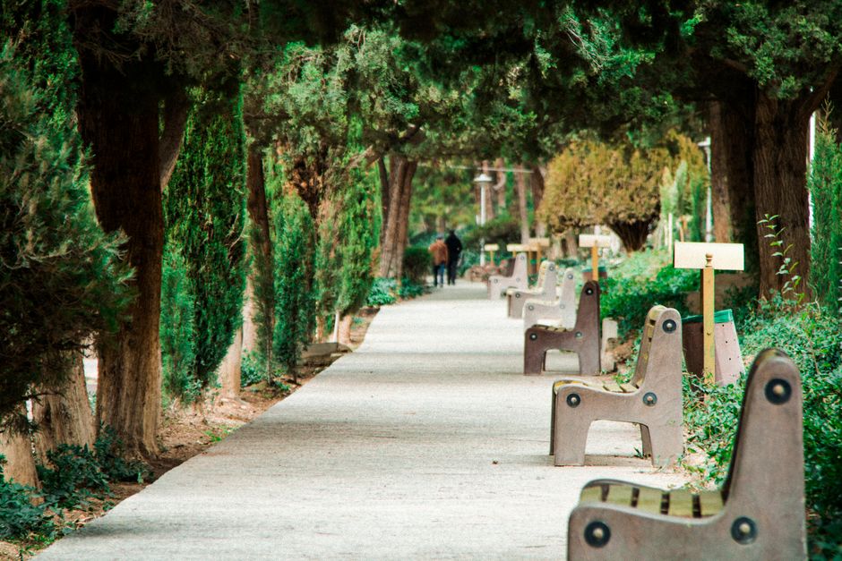 park bench walking path trees