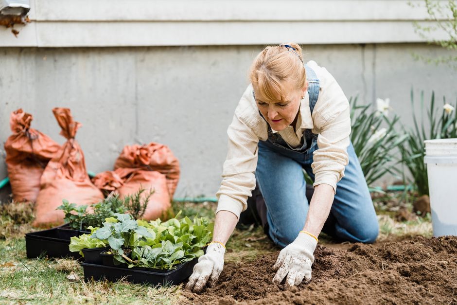 senior gardening potted plants
