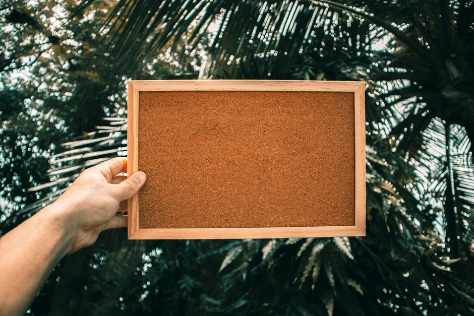 apartment community bulletin board notice