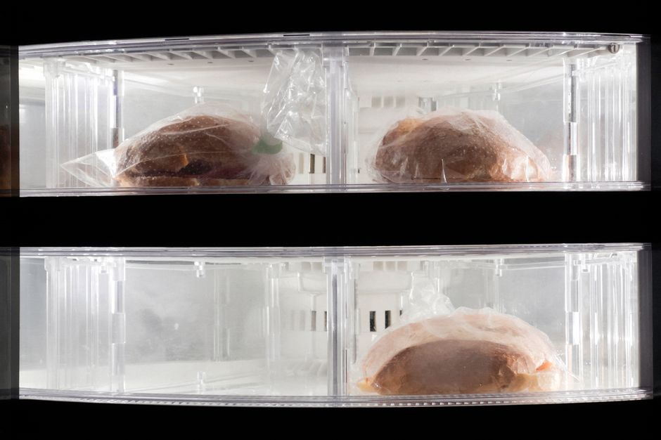 refrigerator door storage condiments
