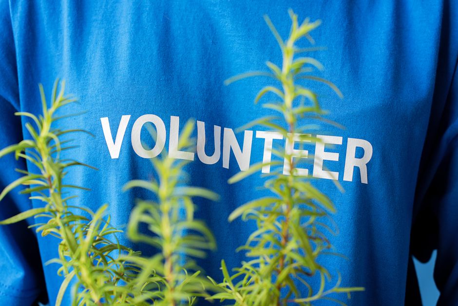 retired volunteer helping community garden
