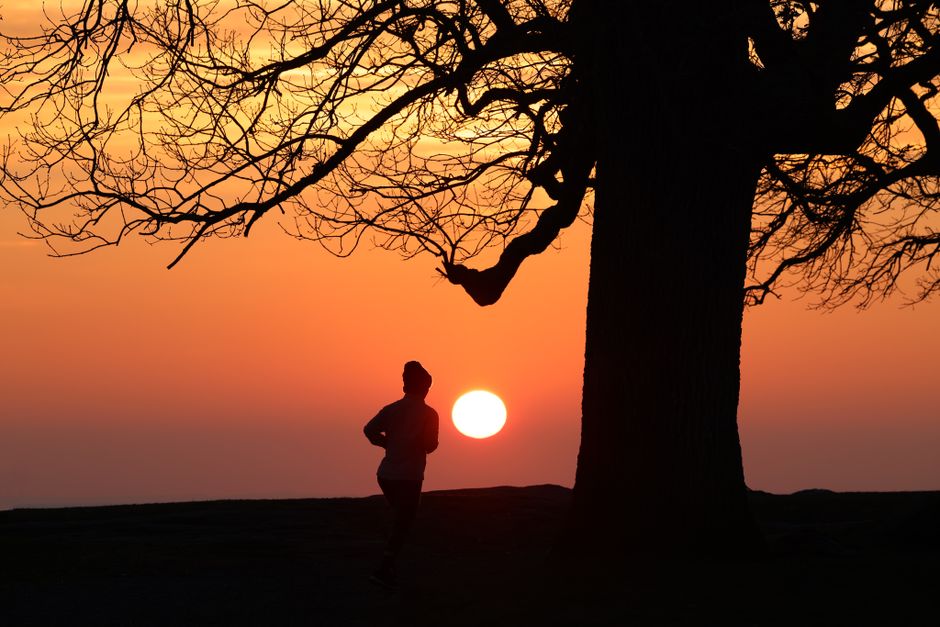 sunrise new beginning motivation walking path