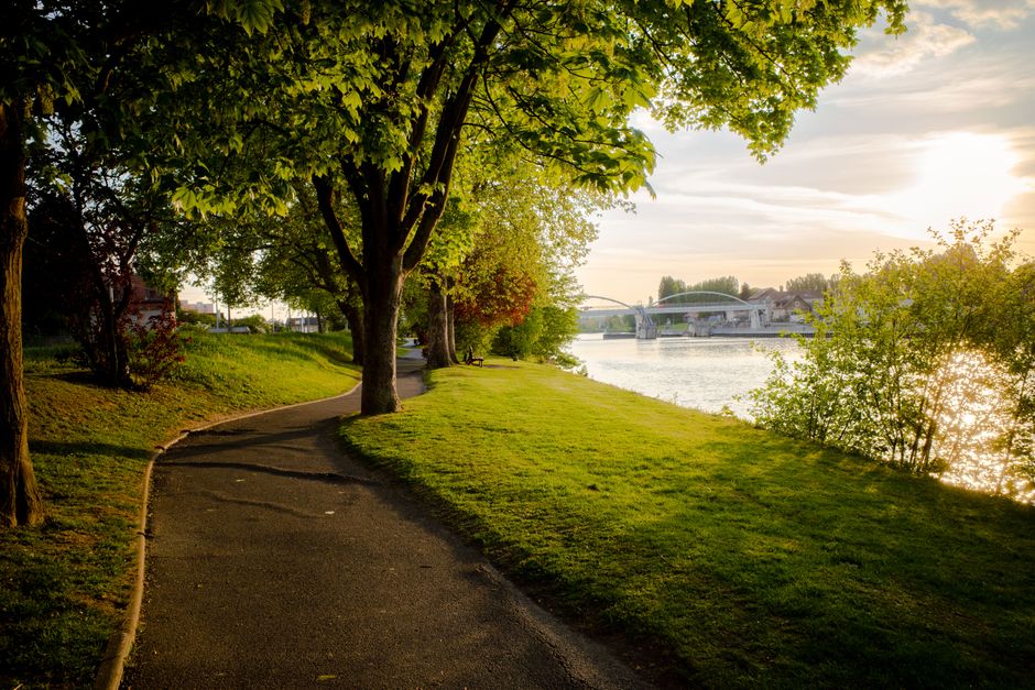 sunset walk park pathway