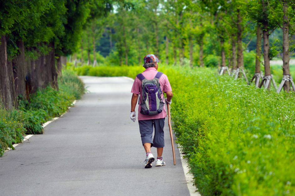 taking a walk park exercise alone