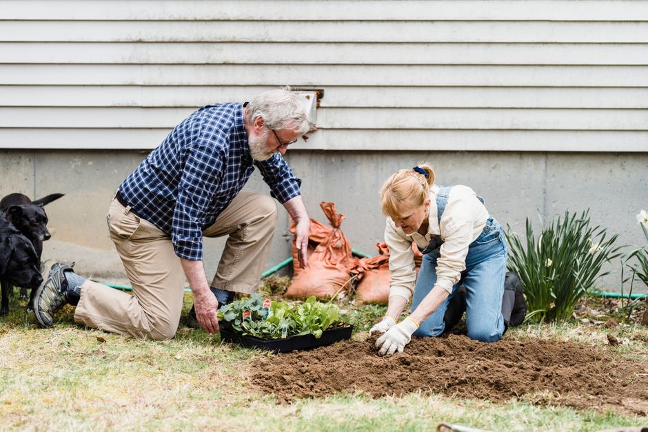 senior gardening spring plants