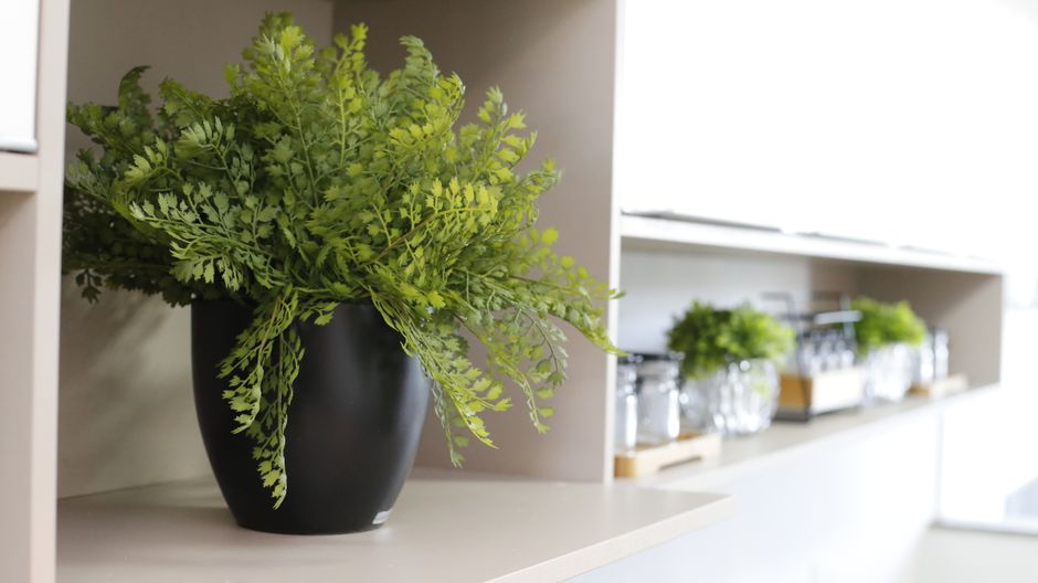 living room shelf decor plants